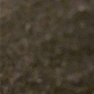 Meet your Posher, Torrey